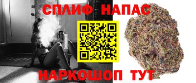 гидра Азнакаево