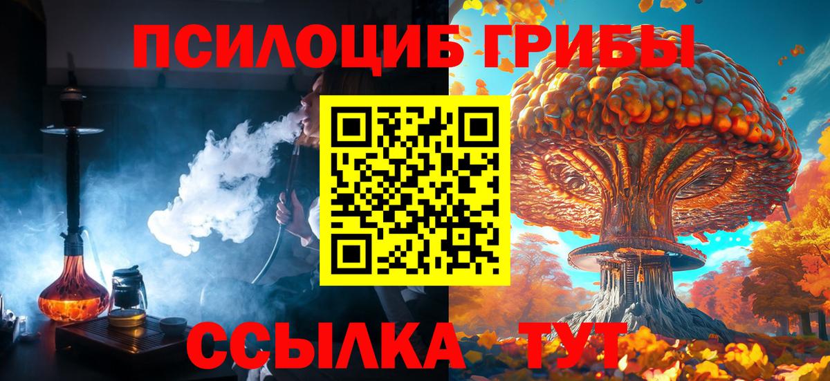 купить наркоту  Вход с VPN  Апатиты  Псилоцибиновые грибы Psilocybine cubensis  Галлюциногенные грибы Cubensis 